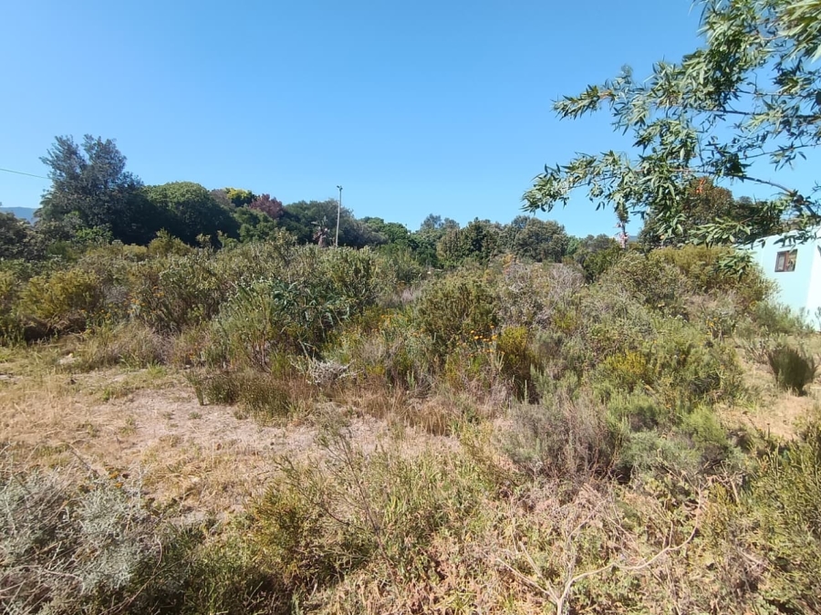 0 Bedroom Property for Sale in Fisherhaven Western Cape